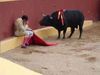 bullfight for painting.jpg
